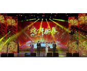 蛇舞新春 —2013年南航迎春晚会